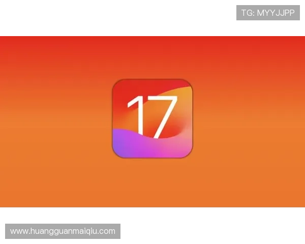 皇冠手机版APP官方正版，保障用户资金安全与隐私保护