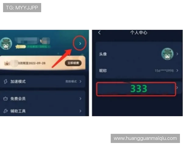 皇冠手机登陆入口常见问题解答，解决登录过程中遇到的各种难题