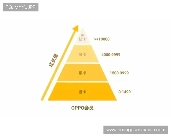 皇冠会员网详细解析会员等级制度,帮助用户合理规划会员升级路径 皇冠会员网详细解析会员等级制度,帮助用户合理规划会员升级路径