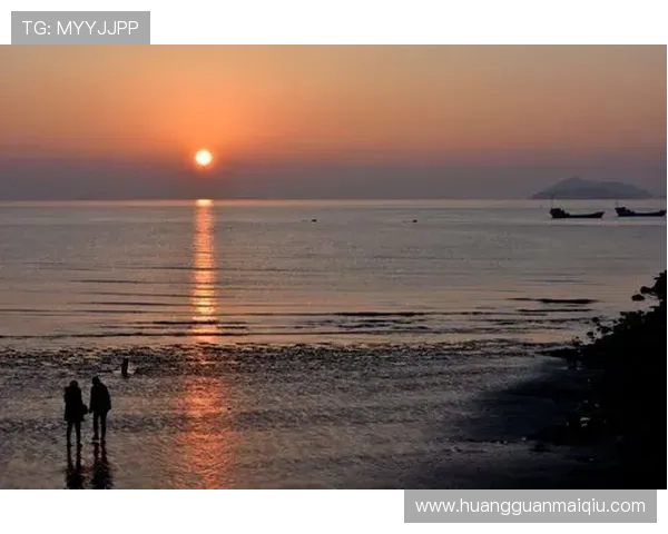 新2手机版登录网址官方入口，确保安全稳妥开启您的精彩博彩旅程