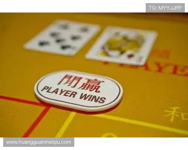 澳门六块赌牌 业内专家对未来政策走向的预测与分析 澳门六块赌牌 业内专家对未来政策走向的预测与分析