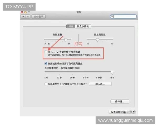 如何在赛马会投注站网页版中设置个人偏好实现个性化投注体验